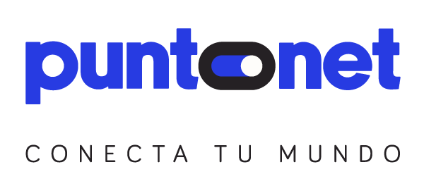 Logo Puntonet